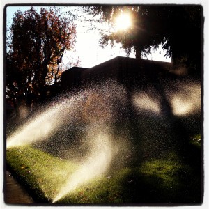 Sprinklers, the setting sun and shadows do their thing in downtown Bakersfield.
