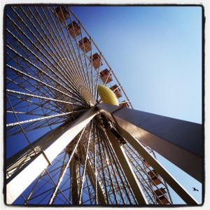 Ferris wheel and sea gull.