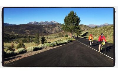 On the Death Ride, headed toward Monitor Pass. #touragainsttrafficking #bikelife #deathride #california