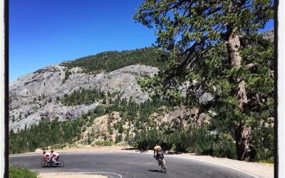 Riders on a hairpin turn descending from Ebbetts Pass during the Death Ride. #touragainsttrafficking #deathride #bikelife #california