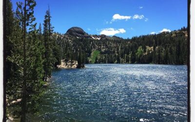 There was amazing scenery along the Death Ride in the California Alps. #touragainsttrafficking #deathride #california #bikelife