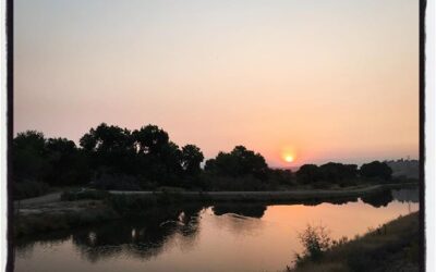 Sunrise along the canal during a ride with @gsenns . #bikelife #socal #touragainsttrafficking