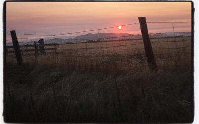 Early morning Fresno ride. #bikelife #touragainsttrafficking #mile3