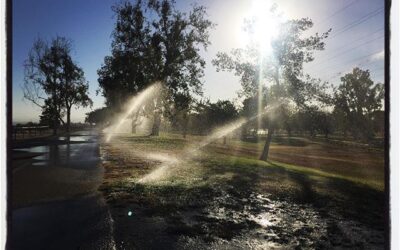 Along the bike trail this morning. #bikelife #california #touragainsttrafficking