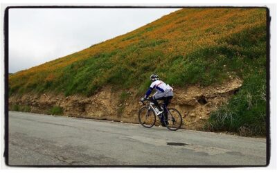 Thanks for the photo and a great ride @zacallyn ! #SoCal #bikelife #climbing #wildflowers