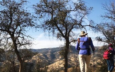 Family hike day! This is our second year observing #GreenFriday or #optoutside