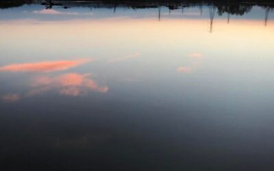 Pink cloud reflected on the Mighty Kern River early in the morning during the Point In Time Count (aka the Homeless Census). #volunteer #kchc #uwkc