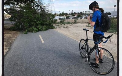 Tree down! Crazy cross@winds as the storm blew through town, especially on the bluffs. #bikelife #iphoneography #touragainsttrafficking #mile3