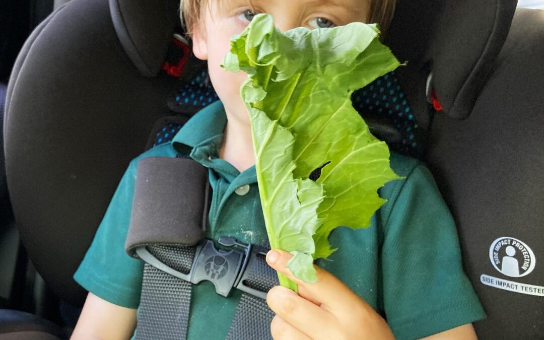 Chai is officially a Mississippian. Mustard greens for a snack on the car ride home. #mississippijourno #postcardsfromcovid19 #dadlife