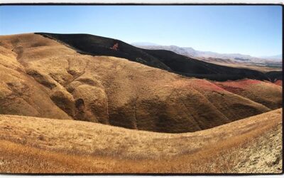 Grass fire headed toward the Round Mountain oil fields. #mile3 #bikelife #touragainsttrafficking