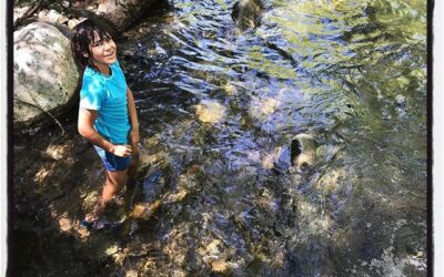 Skipping stones on a stream. #familytime