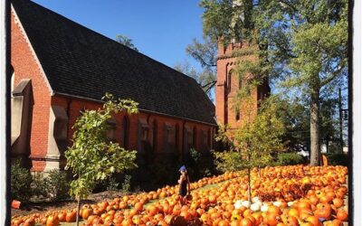 I admire the person who looked at this lawn and thought to themselves, 'What this Episcopal Church needs is MORE pumpkins!' #olemiss #meekjourno