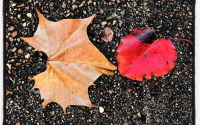 Fall in Oxford, MS. #olemiss #meekjourno