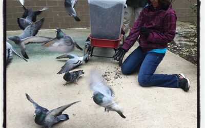 Feeding the pigeons at Meijer Gardens in GR. #dadlife