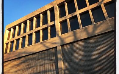 Tree shadow on Lamar Hall. Discussion of artistic style terms today about campus architecture. #meekjourno