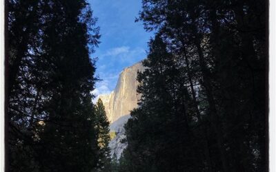 Yosemite study no 2. #dadlife #iphoneography  #meekjourno