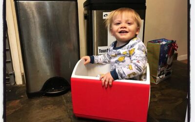 This little guy has captured our hearts. Not sure why he and the cats like sitting in boxes, but there you go. #dadlife