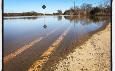 And I left my aqua car at home. Flooding in the Delta. #meekjournalism #meekjourno