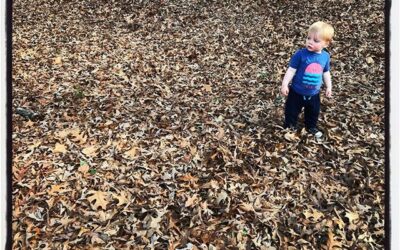 Exploring our world (Avent Park), Oxford. #dadlife