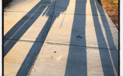 Long shadows on campus. #profile