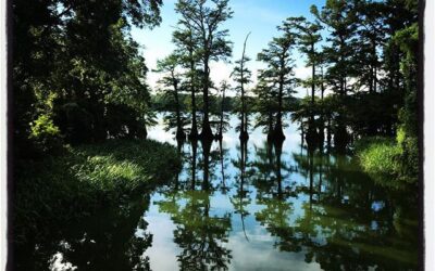 Mississippi bayou. #working #meekjourno #deltacenter18