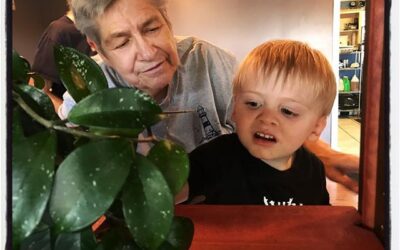 Grandma and C exploring @the_tarasque before an amazing meal at home. The new chili paste was delicious. #dadlife #oxfordms