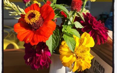 Table flowers before the Poke arrived @oxfordcanteen #dadlife #oxford