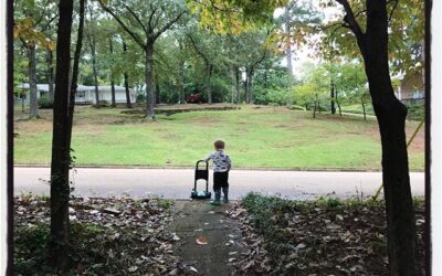 A boy with his toy lawn mower, study 2. #dadlife