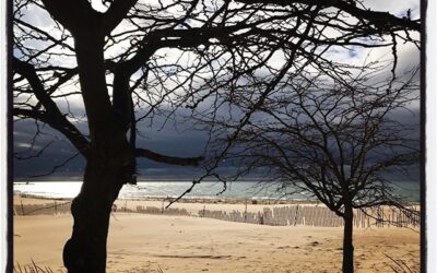 Lake Michigan, study no 2. #mississippijourno