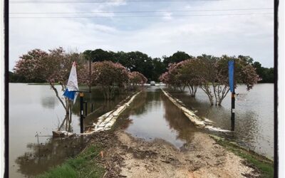 Homestead flooding, in the southern end of the Mississippi Delta. #mississippijourno #umjourimc