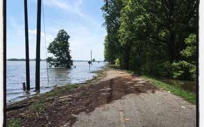 The southern end of the Delta is experiencing flooding like many residents have not seen before. I took my Jour 456 class down to report on the impact of the flooding in Mississippi. #mississippijourno #umjourimc