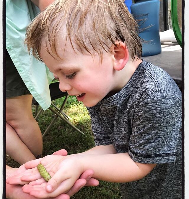 The big caterpillar getting to hold a little, hungry caterpillar @strawberryplains #dadlife #mississippijourno