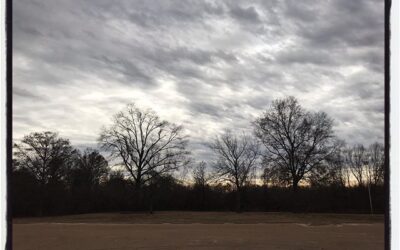 Winter in Oxford, MS. #mississippijourno