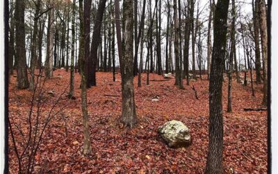 Tishomango State Park trip with family. #mississippijourno