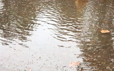 Slo-mo puddle splashing! #dadlife