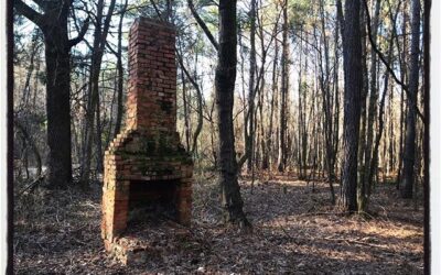 Nature reclaimed home, Calhoun County, MS. #mississippijourno  #umjourimc