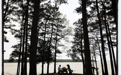 Family picnic in isolation. #mississippijourno #postcardsfromcovid19