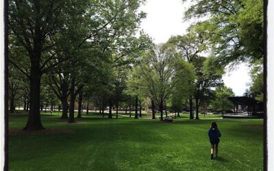 Picture hunting Grove squirrels on a quiet University of Mississippi campus. #mississippijourno #postcardsfromcovid19