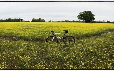 Today was a good day to ride. Quarantine ride number 9. #mississippijourno #postcardsfromcovid19