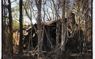 The land reclaiming itself. Seen on a quarantine ride. #mississippijourno #postcardsfromcovid19