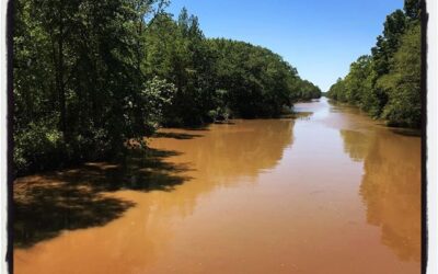 Little Muddy running toward the Big Muddy. Quarantine ride. #mississippijourno #postcardsfromcovid19