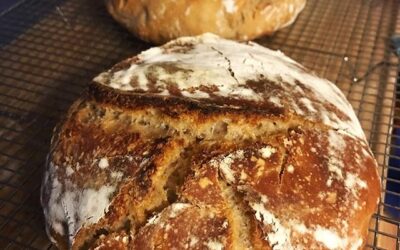 Homemade whole wheat bread. Flour Water Salt Yeast #foodporn #mississippijourno #postcardsfromcovid19