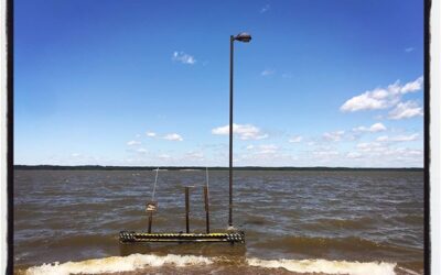 Lake Sardis is getting high again. Quarantine ride. #mississippijourno #postcardsfromcovid19