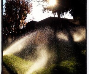 sprinklers