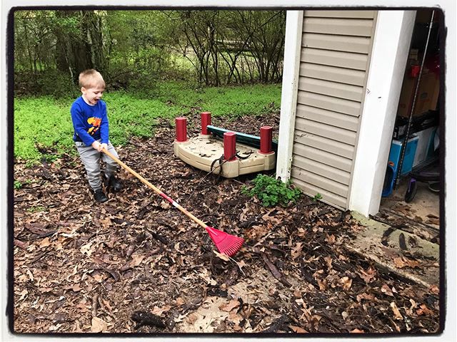 Rake leaves for you Dad? Sure. #mississippijourno #postcardsfromcovid19