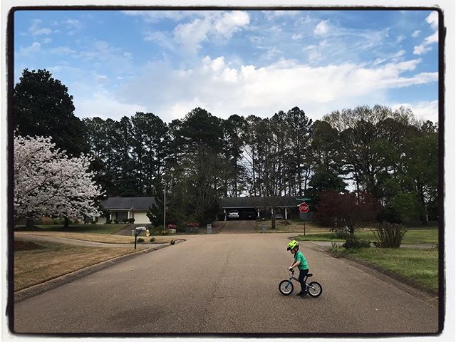 All clear in the neighborhood. #dadlife #mississippijourno #postcardsfromcovid19