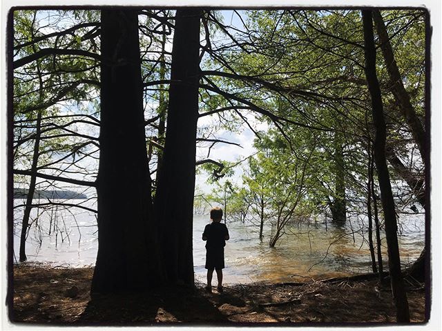 Exploring the wilderness, 1. #mississippijourno #postcardsfromcovid19 #dadlife